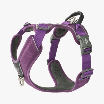 DOG Copenhagen V3 Comfort Walk Pro™ Harness Purple Passion Geschirr V3-PRO-PP
